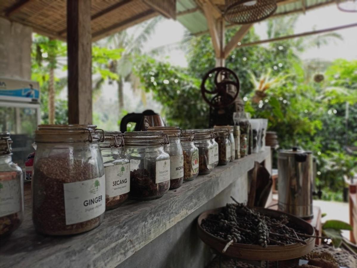 Kebun Kita Eco Lodge Padangan  Exterior foto