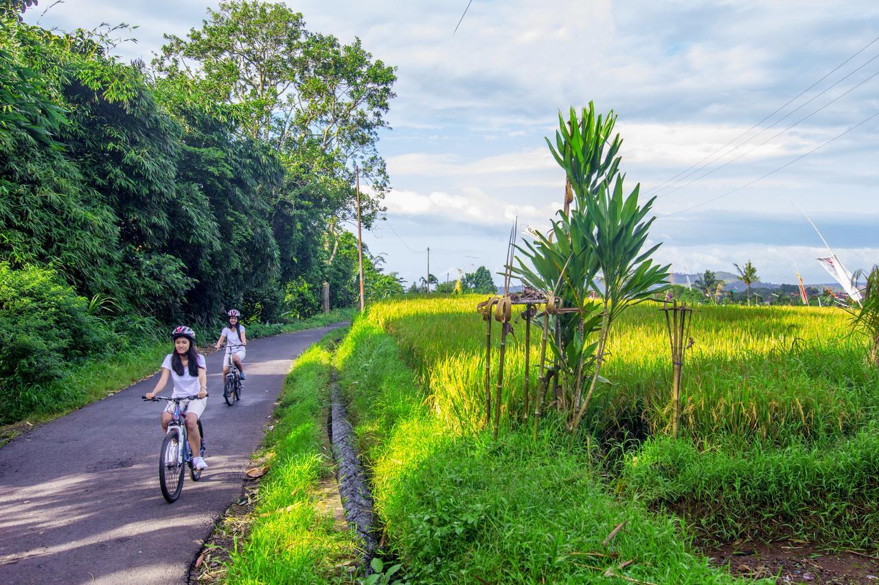 Kebun Kita Eco Lodge Padangan  Exterior foto
